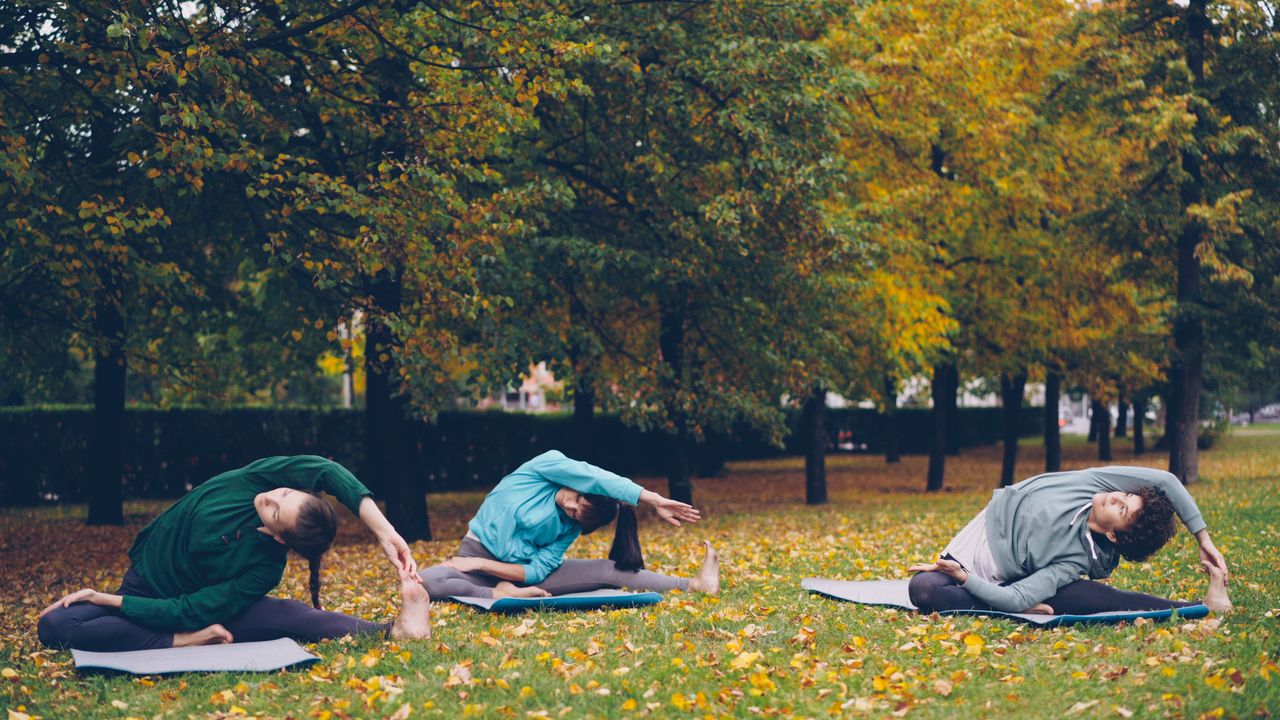 hero-img-01 Three people practicing yoga in a park during fall surrounded by trees.