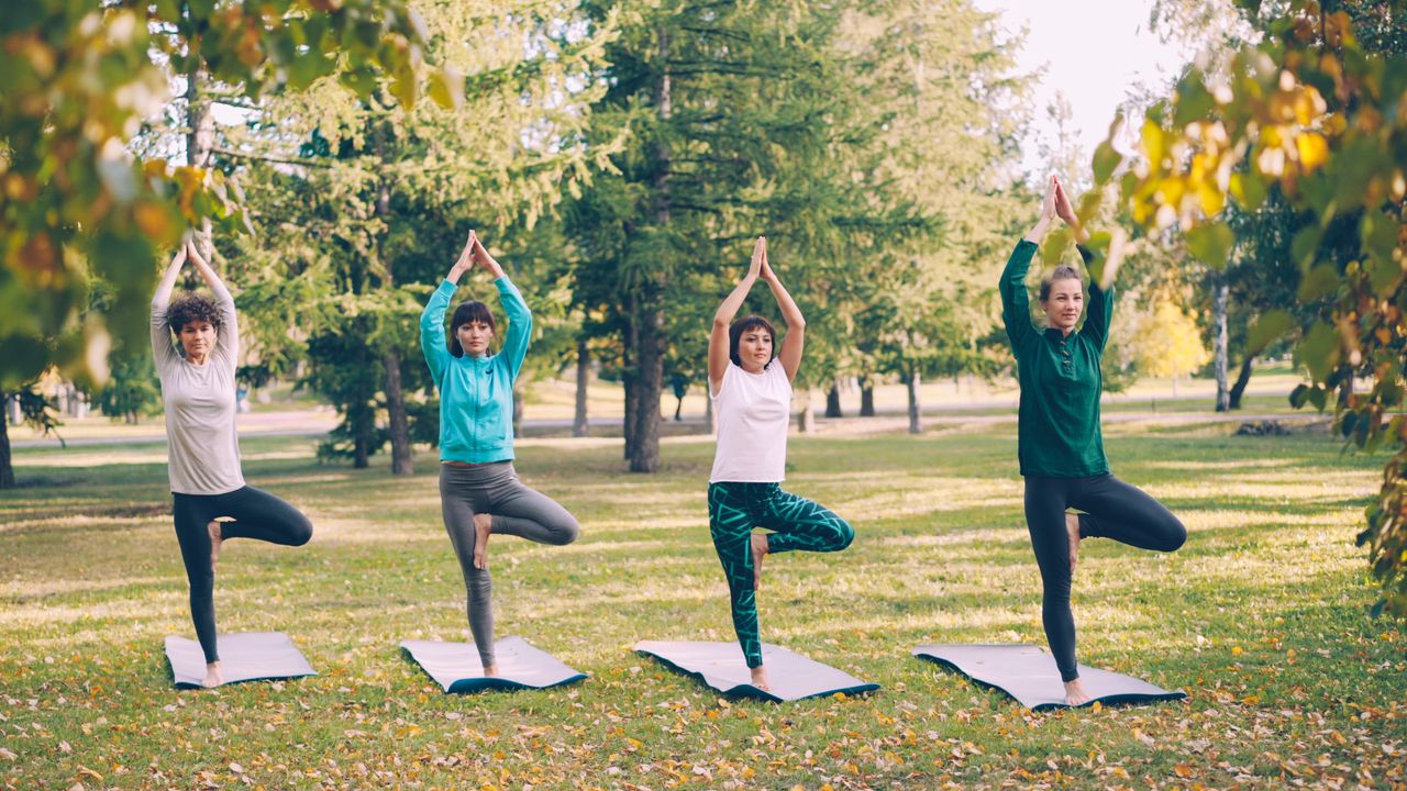 services-03 Four women performing yoga in a tranquil park during a sunny fall day.